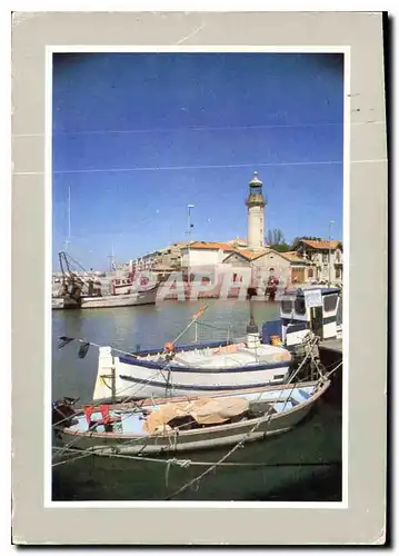 Cartes postales moderne Merveilles et exotisme de la Mediterranee