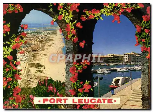 Cartes postales moderne En Parcourant la Cote Mediterraneenne Port Leucate Aude