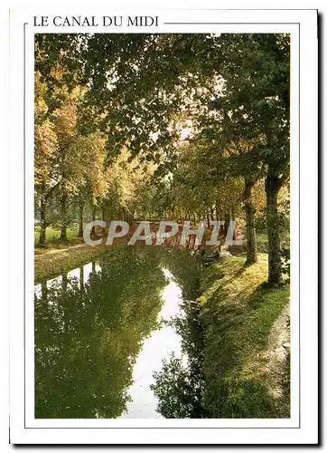 Cartes postales moderne Le Canal du Midi Construit de 1667 a 1681 par Pierre Paul Riquet Ombrages du Chemin d'Eau