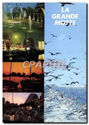 Cartes postales moderne La Grande Motte Herault l'Ete nuit et jour