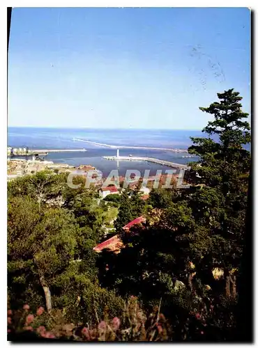 Cartes postales moderne Sete Herault vue d'ensemble sur le Port