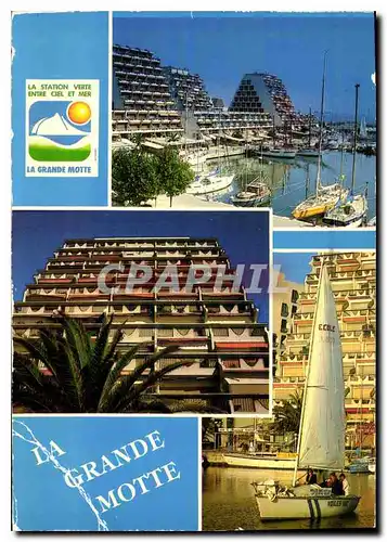 Cartes postales moderne La Grande motte le Port