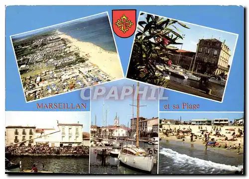 Cartes postales moderne Marseillan et sa Place Herault Les Campings le Port en fleurs le Jeu du Lou Capelet le port de p