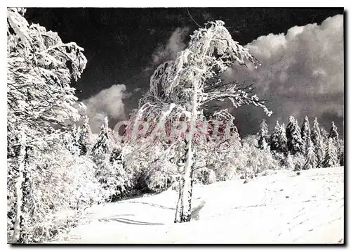 Moderne Karte Les Vosges sous la Neige la nature supporte son Blanc fordeau