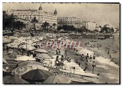 Cartes postales moderne La cote d'Azur Cannes la Plage de la Croisette