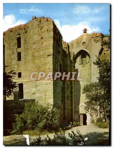 Cartes postales moderne Palavas les flots Herault l'Abbaye de Maguelone