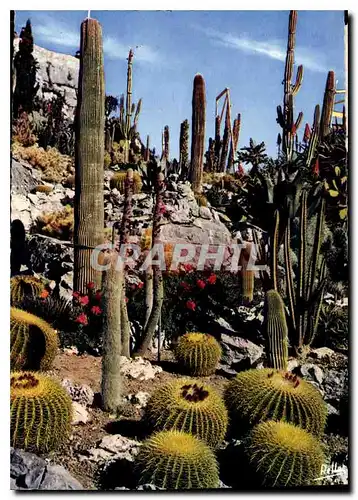 Cartes postales moderne La Cote d'Azur Jardin Exotique