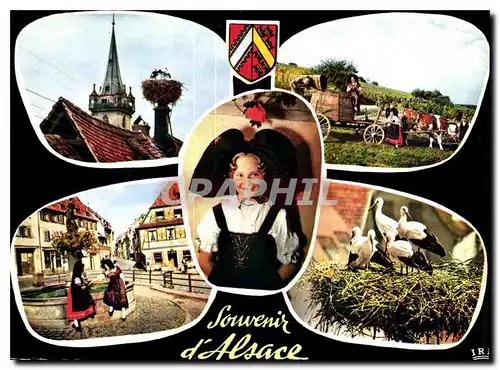 Cartes postales moderne Souvenir d'Alsace Folklore