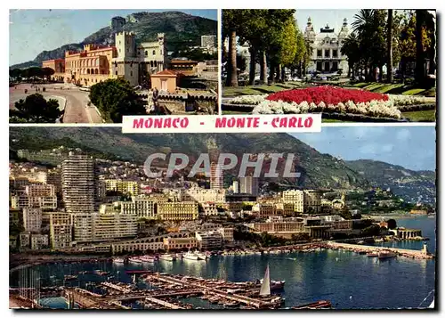 Cartes postales moderne Reflets de la Cote d'Azur Monaco Monte Carlo