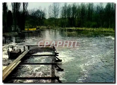 Cartes postales moderne Feulleres Somme Angluillerie