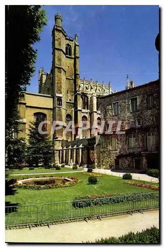 Cartes postales moderne Narbonne Aude Jardin du Musee et la Cathedrale Saint Just