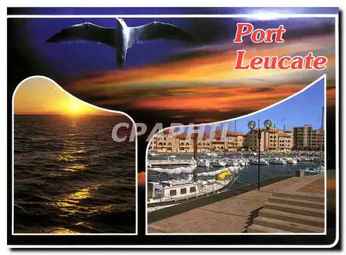 Moderne Karte En Parcourant La Cote Mediterraneenne port Leucate Aude