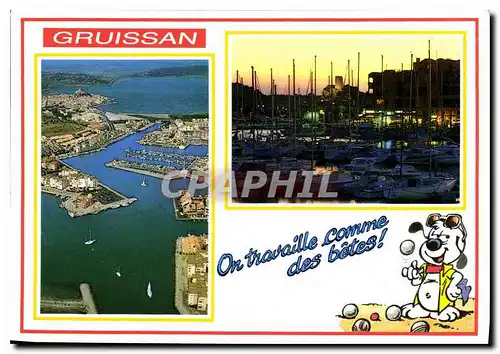 Cartes postales moderne Gruissan