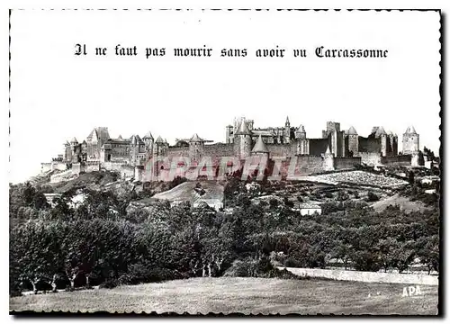 Cartes postales moderne Carcassonne Aude La Cite vue de l'Aude