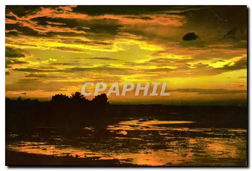 Cartes postales moderne Cote mediterranenne Crepuscule sur la rive