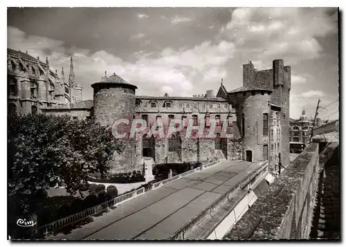 Cartes postales moderne Narbonne Aude Le Musee
