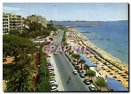 Cartes postales moderne La Cote d'Azur Cannes La Plage du Midi