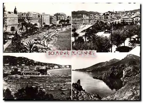 Cartes postales moderne La Cote d'Azur Souvenir de Cannes