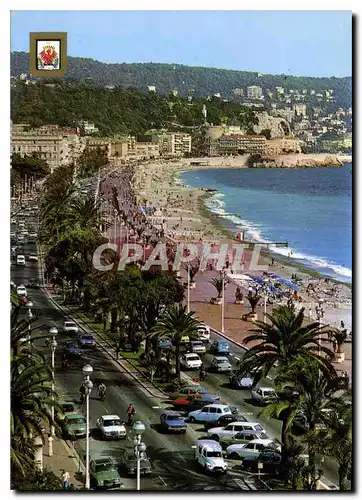 Cartes postales moderne Nice La Promenade des Anglais