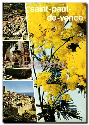 Cartes postales moderne Couleurs et Lumiere de France La Cote d'Azur Miracle de Nature Saint Paul de Vence Alpes Maritim