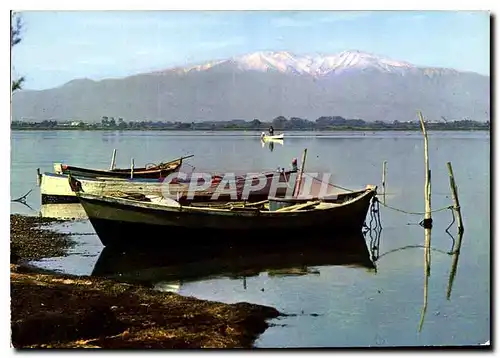 Cartes postales moderne Cote Mediterraneenne Le maasif du Canigou vue de etage