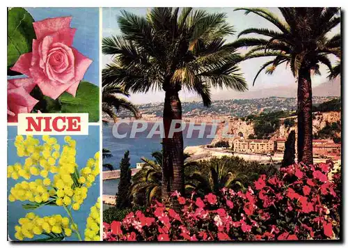 Cartes postales moderne Nice Cote d'Azur French Riviera Vue generale de la Bale des Anges