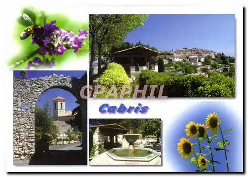 Cartes postales moderne Les sites de la Cote d'Azur Cabris Alpes Maritimes Pittoresque village provencal situe sur les h