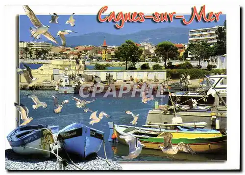 Cartes postales moderne Cote d'Azur French Riviera Cagnes sur Mer Alpes Maritimes