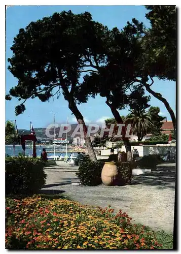 Cartes postales moderne Cote d'Azur Juan les Pins et sa Pinede Fleurie