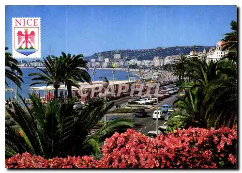 Cartes postales moderne Au soleil de la Cote d'Azur Nice La Promenade des Anglais