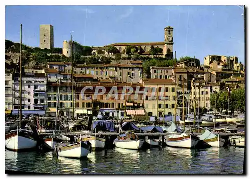 Cartes postales moderne Cannes Un coin du Port le Quai St Pierre et le Suquet