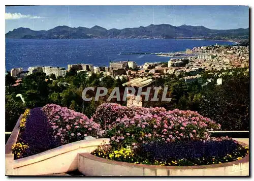 Cartes postales moderne La Cote d'Azur Cannes A M Vue generale le Golfe de la Napoule et l'Esterel