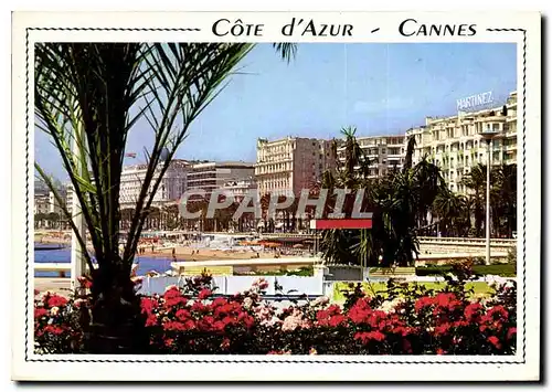 Cartes postales moderne Cote d'Azur Cannes A M La Croisette