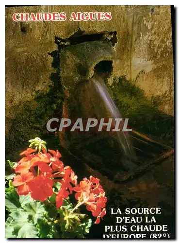 Cartes postales moderne Le Cantal Touristique Chaudes Aigues Cantal Eau la plus Chaude d'Europe