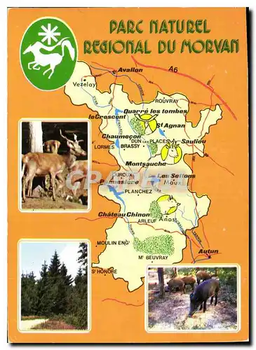 Cartes postales moderne Le Morvan touristique Parc Naturel Regional du Movan