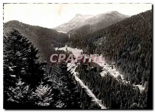 Ansichtskarte AK La Haute Auvergne Le Lioran Cantal Au loin le Puy Griou