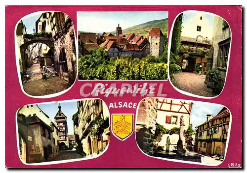 Cartes postales moderne L'Alsace pittoresque Riquewihr Haut Rhin