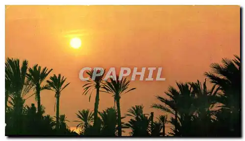 Moderne Karte Iles Kerkennah Tunisie Coucher de soleil
