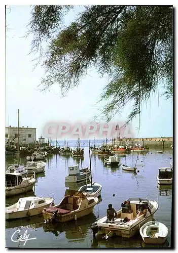 Cartes postales moderne La Cotiniere le port