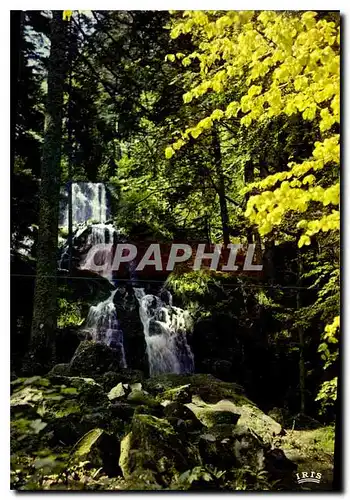 Cartes postales moderne Les Vosges pittoresque Cascade de Tendon