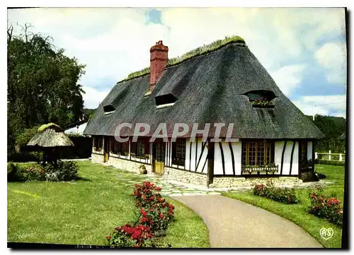 Cartes postales moderne Chaumiere Normande