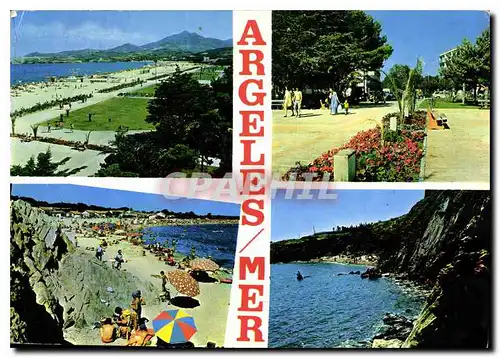 Cartes postales moderne La Cote Vermeille Argeles sur Mer la plage au loin les Alberes la promenade le Racou