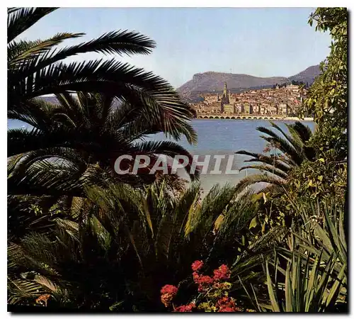 Cartes postales moderne Cote d'Azur Menton A M vue generale