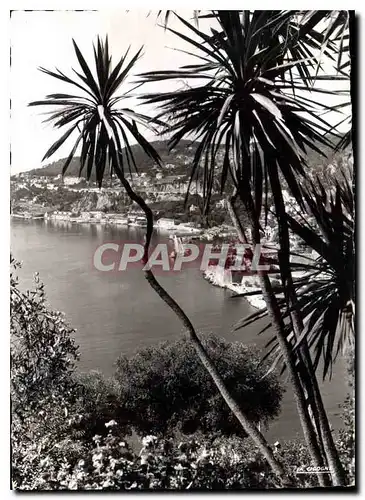 Cartes postales moderne Villefranche sur Mer A M dans son Decor Mediterraneen