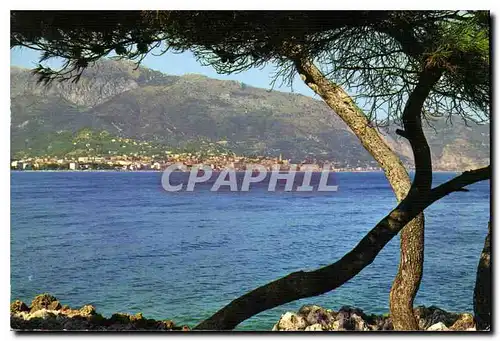 Cartes postales moderne Menton vue generale prise du Cap Martin