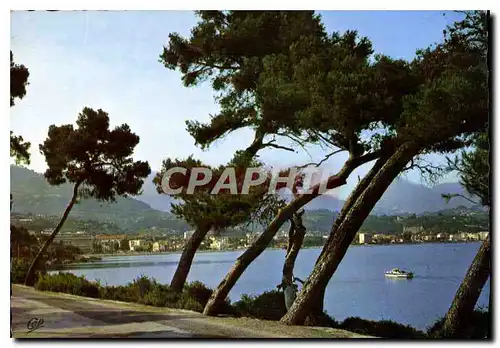 Cartes postales moderne Roquebrune Cap Bruno A M vue vers Carnoles et Menton