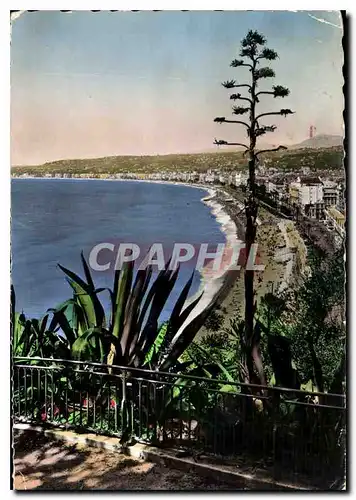 Cartes postales moderne Nice vue generale prise du Chateau