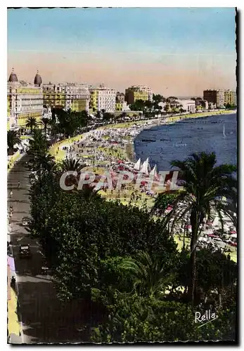 Cartes postales moderne Cannes Plage et grands hotels boul de la Croisette