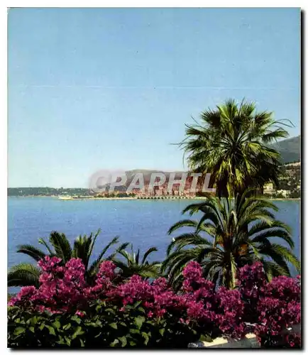 Cartes postales moderne Le Sites Merveilleux de la Cote d'Azur Menton A M vue generale sur Menton prise de Garavan