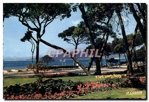 Cartes postales moderne Reflets de la Cote d'Azur Juan les Pins les Terrasses du Casino